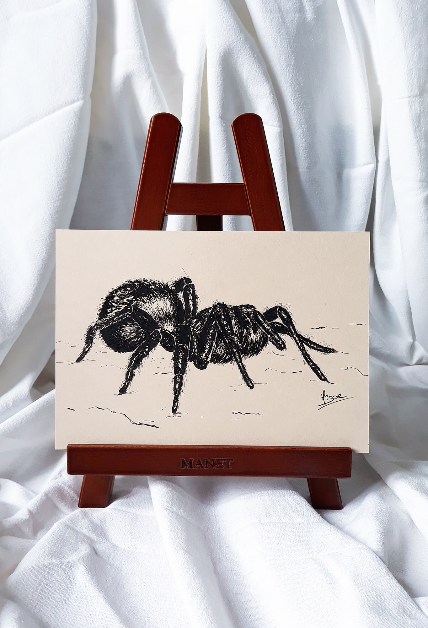 Dessin original à l'encre sur chevalet d'une araignée ©Hisae illustrations