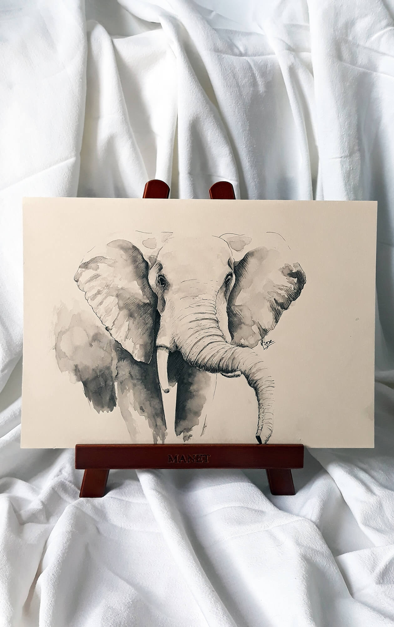 Dessin original à l'encre de Chine sur un chevalet représentant un éléphant d'Afrique ©Hisae illustrations