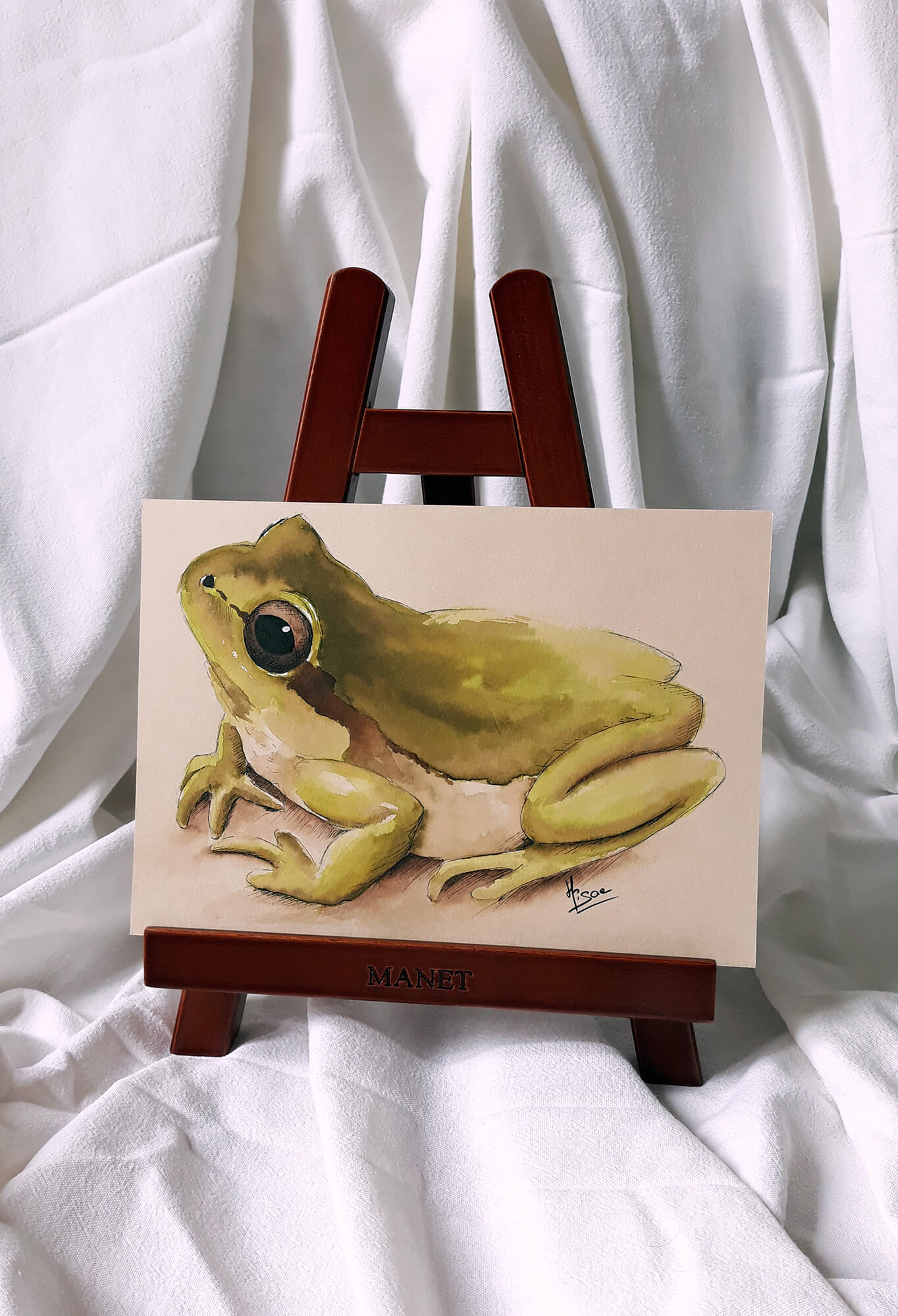 Dessin original à l'encre verte sur chevalet représentant une grenouille ©Hisae illustrations