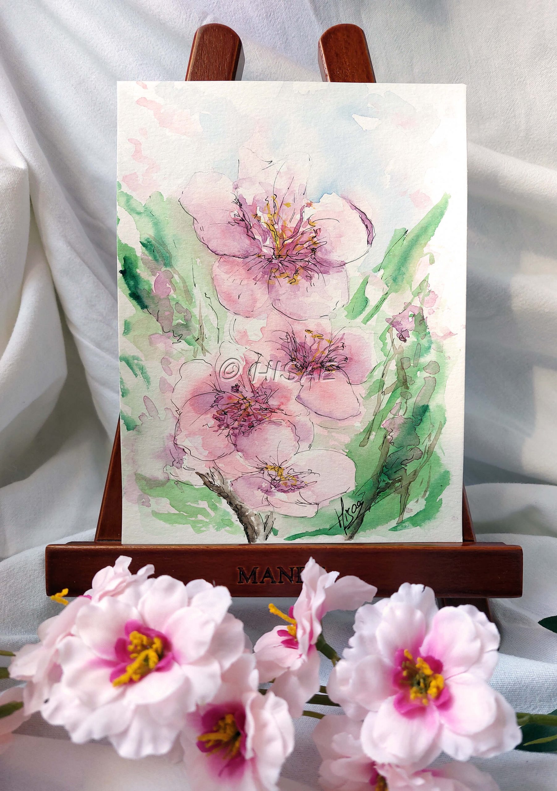 Aquarelle originale, présentée sur chevalet, représentant des fleurs de cerisiers japonais @Hisae illustrations