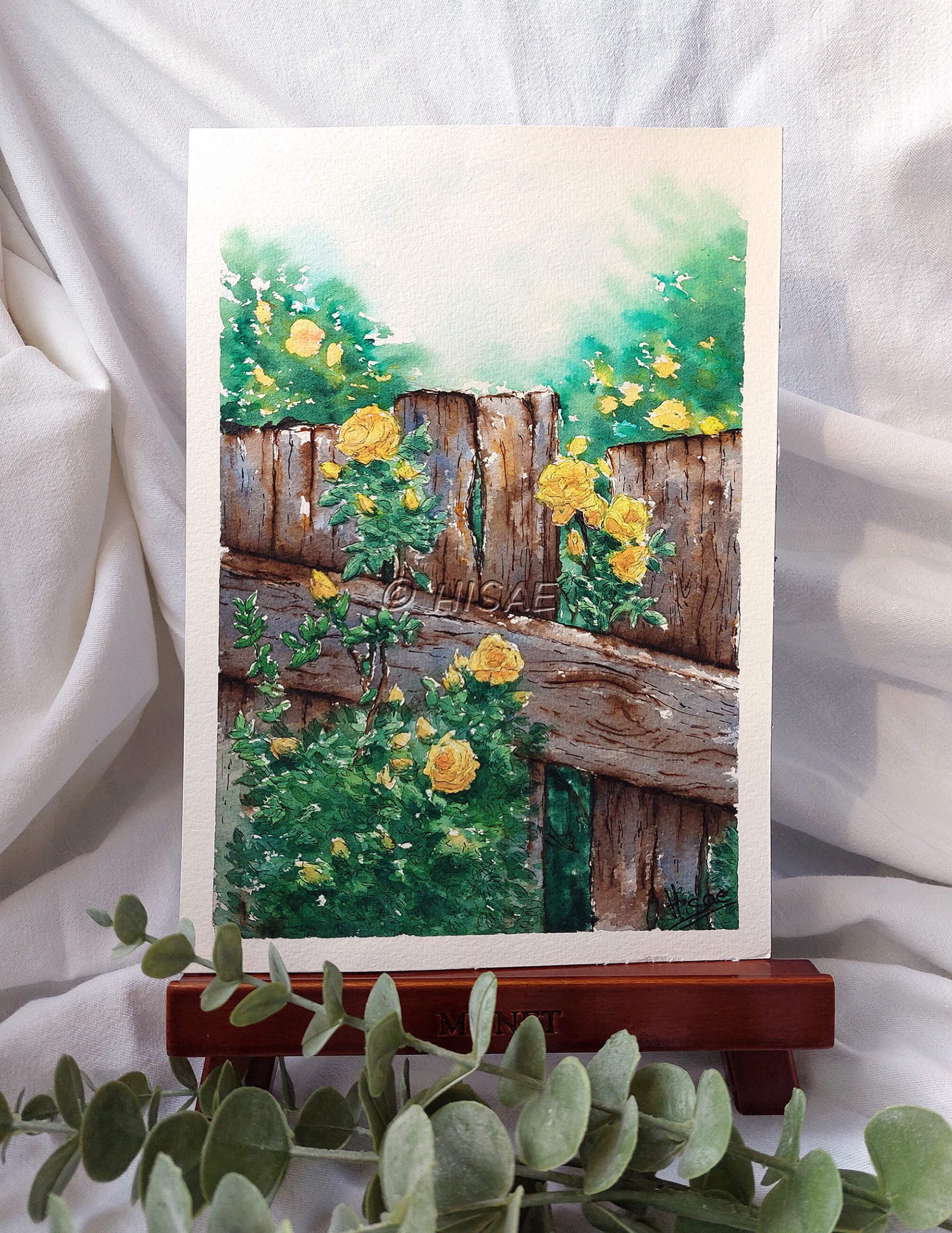 Dessin original réalisé à l'encre et à l'aquarelle, présenté sur chevalet, représentant des roses jaunes grimpant le long d'une barrière en bois @Hisae illustrations